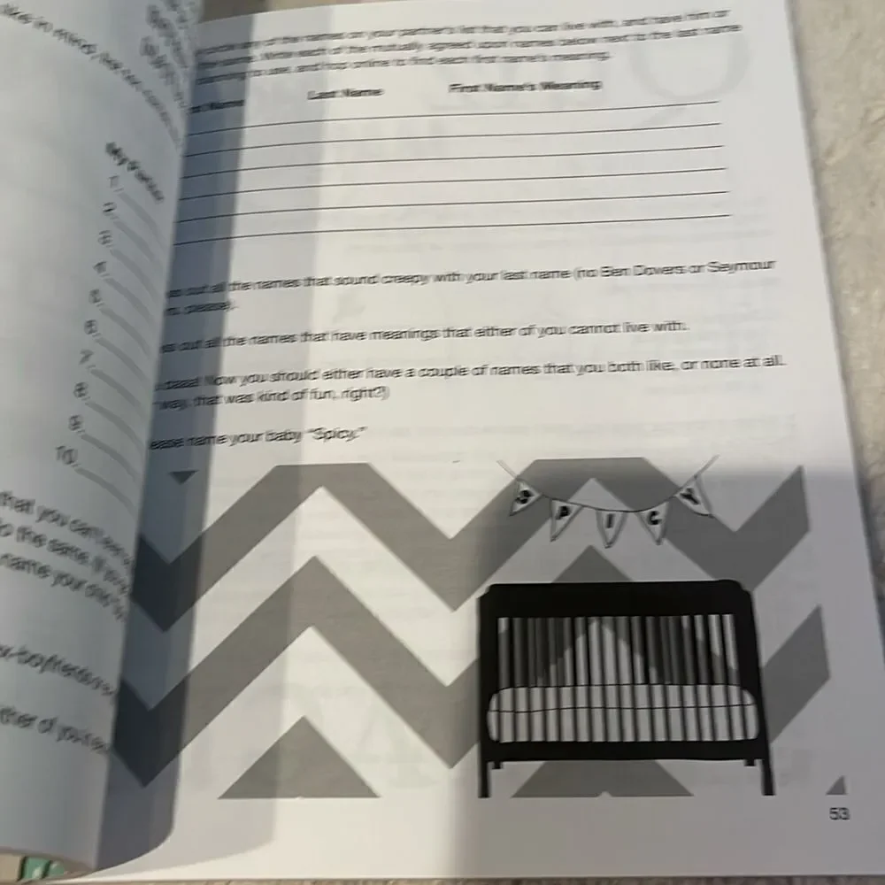 NEW the big fat activity book for pregnant people